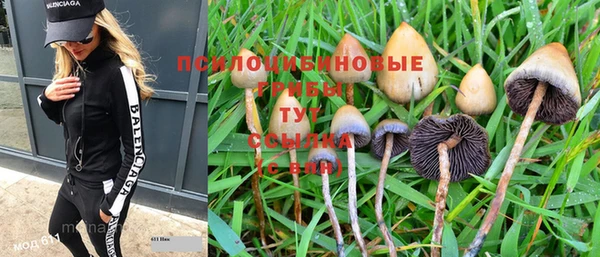 дурь Абдулино