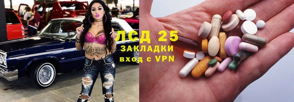 крисы Алексин